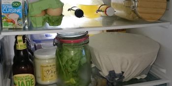 Illustration du billet Notre frigo change de look