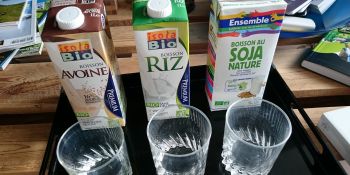 Illustration du billet Blind test sur les laits végétaux