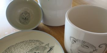 Illustration du billet Opération ré-encombrement