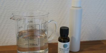 Illustration du billet Désodorisant WC maison