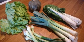 Illustration du billet Paniers bio mon amour