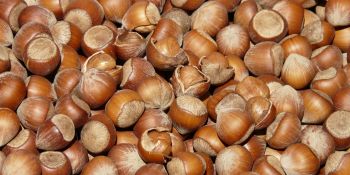 Illustration du billet La Nature ? C'est quoi ça déjà ?