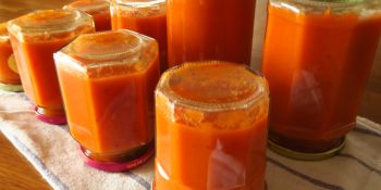 Illustration du billet Des tomates toute l'année ?