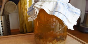 Illustration du billet Ma recette du Kéfir de fruit