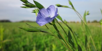 Illustration du billet Dressing Responsable : ma liste de boutiques de vêtements éthiques