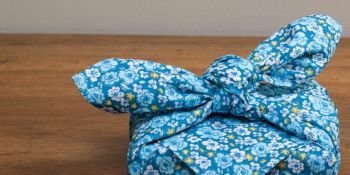 Illustration du billet Les boutiques en ligne 