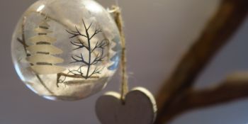 Illustration du billet Notre sapin de Noël Zéro Déchet