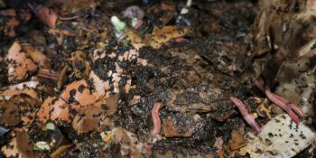 Illustration du billet Je vais bien ne t'en fais pas