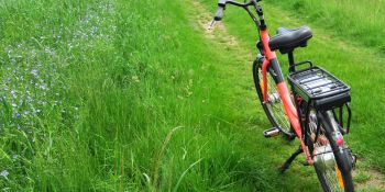 Illustration du billet En voiture Simone - ou presque...