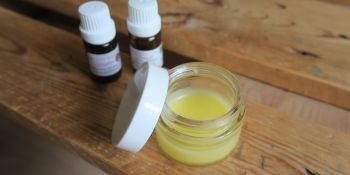 Illustration du billet Baume anti-moustique fait maison