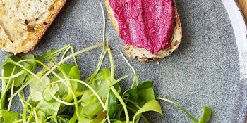 tartines de houmous de betterave rouge sur lit de pourpier