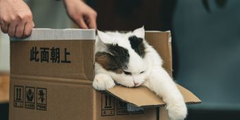 Illustration du billet Mes codes promos