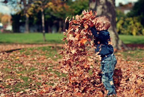 Illustration du billet Les enfants sont merveilleux