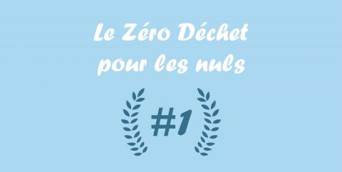 Illustration du billet Le Zéro Déchet pour les nuls #1