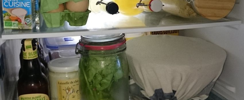 Illustration du billet Notre frigo change de look
